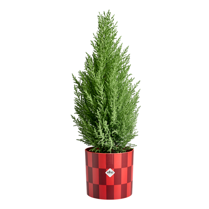 xmas blocks & stripes 15cm cranberry red